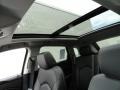 Platinum Ice Tricoat - SRX Performance Photo No. 15