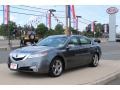 2009 Palladium Metallic Acura TL 3.7 SH-AWD  photo #1