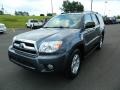 Shadow Mica - 4Runner SR5 Photo No. 7