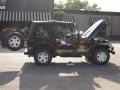 Black - Wrangler Sport 4x4 Photo No. 20