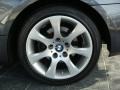 2008 BMW 3 Series 328xi Coupe Wheel and Tire Photo