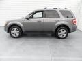 2009 Sterling Grey Metallic Ford Escape Limited V6  photo #5