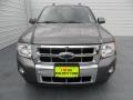 2009 Sterling Grey Metallic Ford Escape Limited V6  photo #7