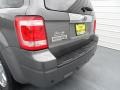 2009 Sterling Grey Metallic Ford Escape Limited V6  photo #19