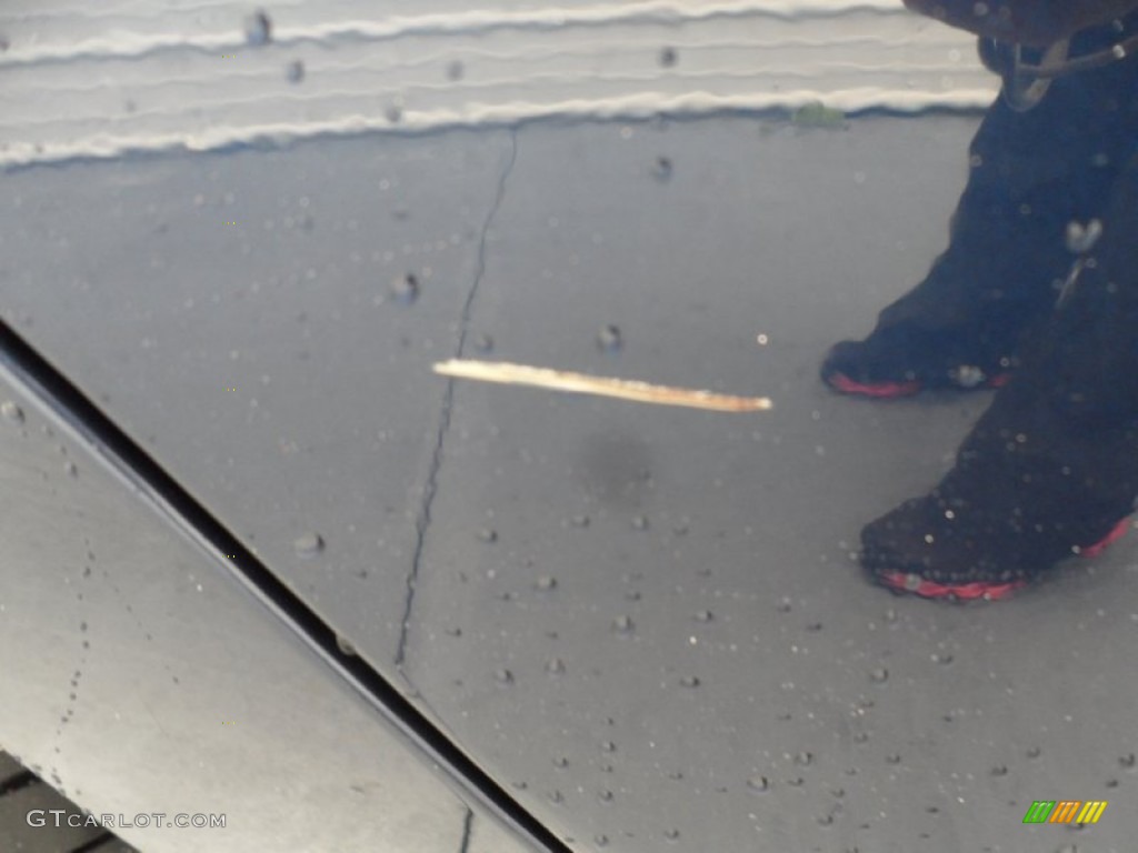 2008 Accord EX-L Sedan - Royal Blue Pearl / Gray photo #16