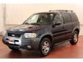 True Blue Metallic - Escape XLT V6 4WD Photo No. 4