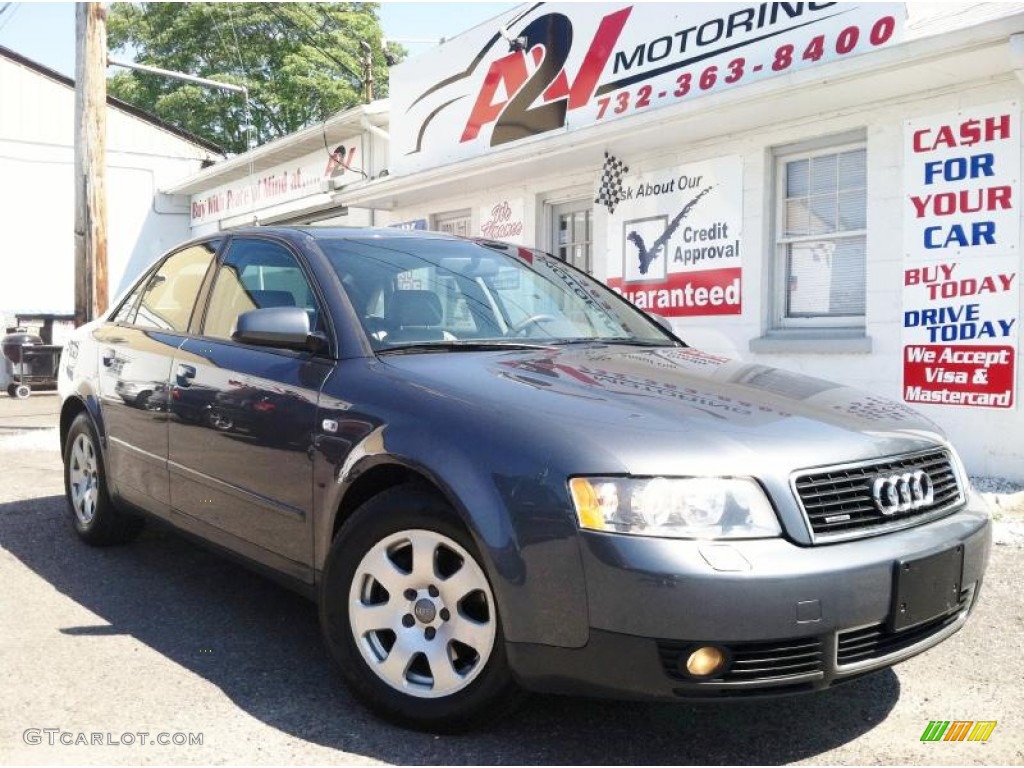 Dolphin Gray Pearl Audi A4
