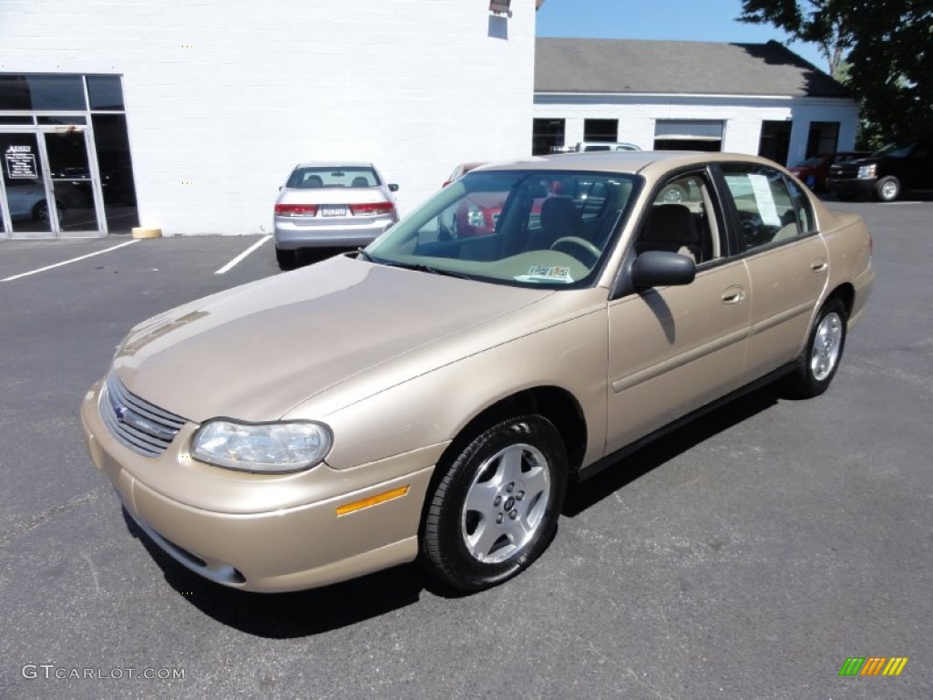 2005 Classic  - Light Driftwood Metallic / Neutral photo #2