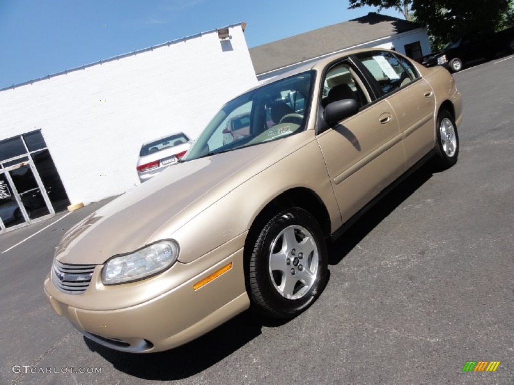 2005 Classic  - Light Driftwood Metallic / Neutral photo #3