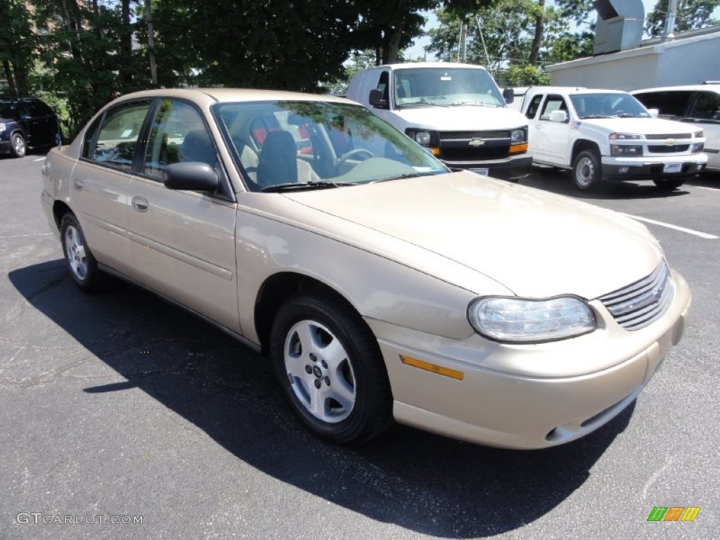 2005 Classic  - Light Driftwood Metallic / Neutral photo #5