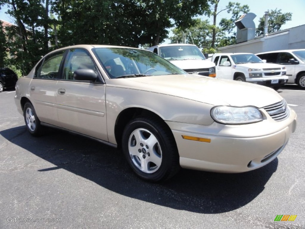 2005 Classic  - Light Driftwood Metallic / Neutral photo #6