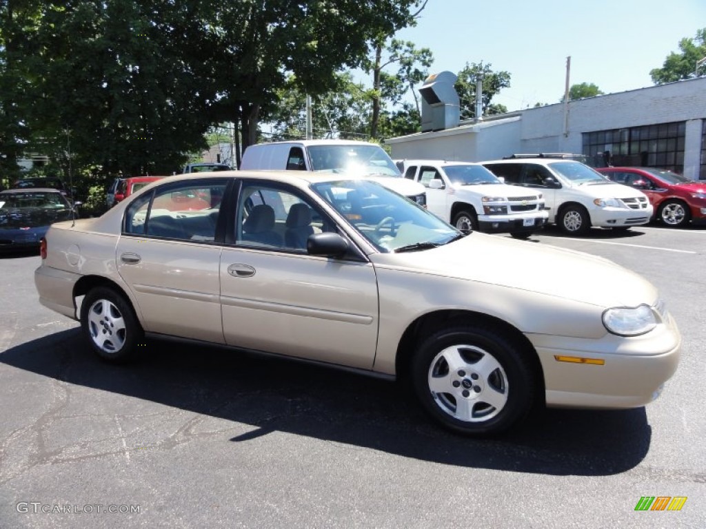 2005 Classic  - Light Driftwood Metallic / Neutral photo #7