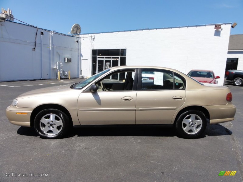 2005 Classic  - Light Driftwood Metallic / Neutral photo #12