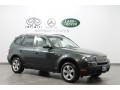 Highland Green Metallic - X3 3.0si Photo No. 1