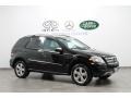 Black - ML 350 4Matic Photo No. 1