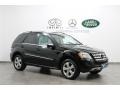 Black - ML 350 4Matic Photo No. 1