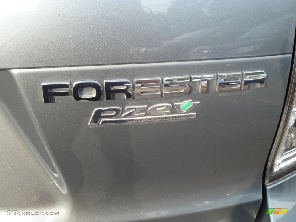 2010 Forester 2.5 X Premium - Sage Green Metallic / Platinum photo #7