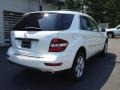 Arctic White - ML 350 4Matic Photo No. 7