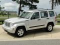 Bright Silver Metallic - Liberty Sport Photo No. 9