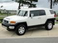 2010 Iceberg White Toyota FJ Cruiser 4WD  photo #9