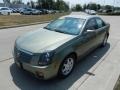 2005 Silver Green Cadillac CTS Sedan  photo #7