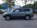 Oasis Green Pearl - Highlander V6 4WD Photo No. 1