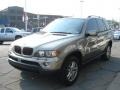 Kalahari Beige Metallic - X5 3.0i Photo No. 3