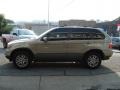 Kalahari Beige Metallic - X5 3.0i Photo No. 4