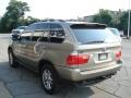 Kalahari Beige Metallic - X5 3.0i Photo No. 5