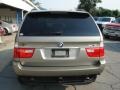 Kalahari Beige Metallic - X5 3.0i Photo No. 23