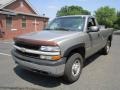 Light Pewter Metallic - Silverado 2500 LS Regular Cab 4x4 Photo No. 2