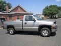 Light Pewter Metallic - Silverado 2500 LS Regular Cab 4x4 Photo No. 11