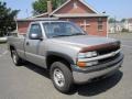 Light Pewter Metallic - Silverado 2500 LS Regular Cab 4x4 Photo No. 12