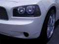 Stone White - Charger  Photo No. 8