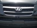 2008 Ebony Black Hyundai Santa Fe GLS  photo #5