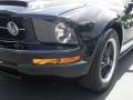 2006 Black Ford Mustang V6 Deluxe Coupe  photo #8