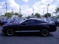 2006 Black Ford Mustang V6 Deluxe Coupe  photo #10