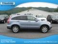 2008 Glacier Blue Metallic Honda CR-V EX-L  photo #6