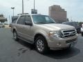 Pueblo Gold Metallic 2008 Ford Expedition XLT