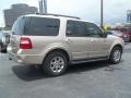 Pueblo Gold Metallic - Expedition XLT Photo No. 2