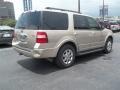 Pueblo Gold Metallic - Expedition XLT Photo No. 3