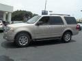 Pueblo Gold Metallic - Expedition XLT Photo No. 6