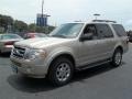 Pueblo Gold Metallic - Expedition XLT Photo No. 7