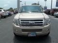 Pueblo Gold Metallic - Expedition XLT Photo No. 8