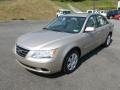 Camel Pearl - Sonata GLS Photo No. 3