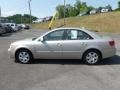 Camel Pearl - Sonata GLS Photo No. 4
