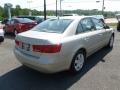 Camel Pearl - Sonata GLS Photo No. 6