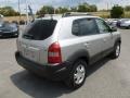 Sahara Silver - Tucson GLS V6 4x4 Photo No. 7