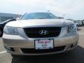 Golden Beige - Sonata GLS V6 Photo No. 2