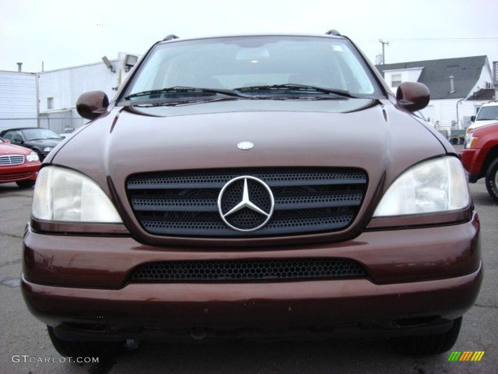 2001 ML 320 4Matic - Bourbon Metallic / designo Cognac photo #9